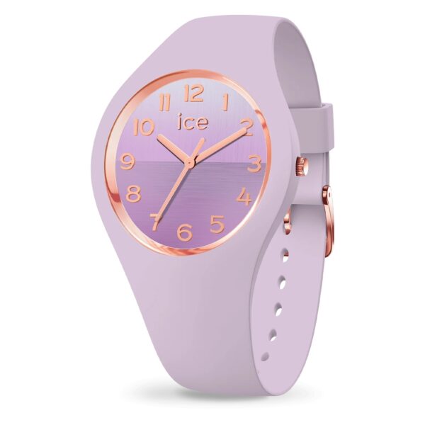 ICE watch horizon 021359