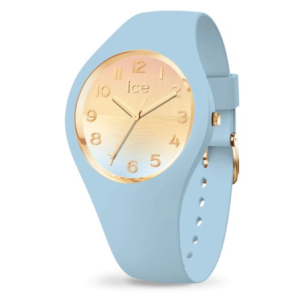 ICE watch horizon 021358